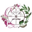 Logo Il Calesse Srl Società Agricola