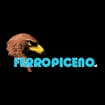 Logo Ferropiceno Srl