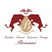 Logo "Borsani Paolo"