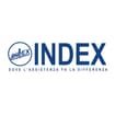 Logo Index Srl