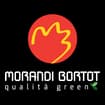 Logo Morandi - Bortot Srl