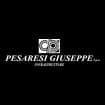 Logo Pesaresi Giuseppe Spa
