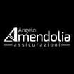 Logo Amendolia Assicurazioni Srl