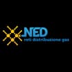Logo Ned Reti Distribuzione Gas Srl, In Breve "Ned Srl"