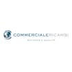 Logo Commerciale Ricambi Srl