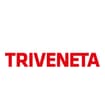 Logo Gruppo Triveneta Srl