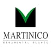 Logo Martinico Ornamental Plants Dei F.lli S. & V.w. Martinico Società Agricola S.s. E In Abbrev. Martinico Ornamental Plants Società Agrico La S.s.
