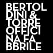 Logo Bertoldini & Torre Srl