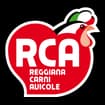 Logo R.c.a. Srl