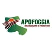Logo " Consorzio Associazione Produttori Ortofrutticoli Foggia - Società Cooperativa " In Sigla " Consorzio Apo Foggia S.c. "