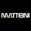Logo Matteini Srl