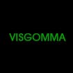 Logo Visgomma Srl Fabbrica Articoli Tecnici
