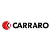 Logo Carraro Spa
