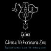 Logo Clinical Vet Srl Semplificata Unipersonale