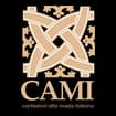 Logo Cami Srl Semplificata