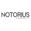 Logo Notorius Di Micheletti Srl