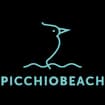 Logo Picchio Beach Srl