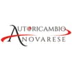 Logo Autoricambio Novarese S.n.c. Di Lovison Floriana E Pellino Massimino