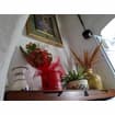 Logo B&B Borgo San Martino Di Rosselli Rossana