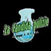 Logo La Candida Pulizie Di Riggi Salvatore E C. S.a.s.