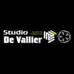 Logo Studio De Vallier S.t.p. A R.l.