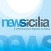 Logo Newsicilia Srl Semplificata