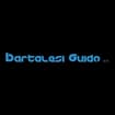 Logo Bartalesi Guido Srl