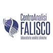 Logo Centro Analisi Falisco Srl