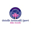 Logo Polisportiva Filottrano Pallavolo - Società Sportiva Dilettantistica A Responsabilita' Limitata