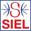 Logo Siel Antifurto Due Srl