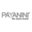 Logo Payanini Srl Con Sigla "Payanini Srl"