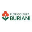 Logo Floricoltura Buriani Di Buriani Arianna