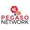 Logo Pegaso Network Società Cooperativa Sociale