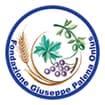 Logo "Fondazione Giuseppe Palena - Ente Del Terzo Settore"