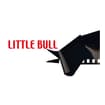 Logo Little Bull Srl