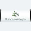 Logo "Briante Martegani Srl"