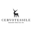 Logo Cervotessile Spa