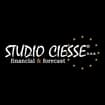 Logo Studio Ciesse S.a.s. Di Parise Duilio & C.