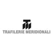 Logo Trafilerie Meridionali Spa