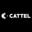 Logo Cattel Spa