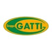 Logo Gruppo Gatti Spa