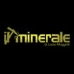 Logo Il Minerale Di Lucio Muggetti