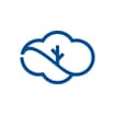 Logo Carbonsinkgroup Srl