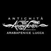 Logo Araba Fenice Di Bonino Massimo & C. S.a.s.