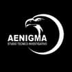 Logo Aenigma Studio Tecnico Investigativo Di Grazzi Valentina