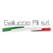 Logo Galluccio F.lli Srl