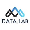 Logo Data.lab Srl