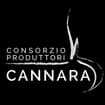 Logo Consorzio Cipolla Di Cannara Società Cooperativa Agricola