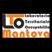 Logo Azienda Formazione Mantova - For.ma