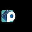 Logo Dott Paolo Pignataro